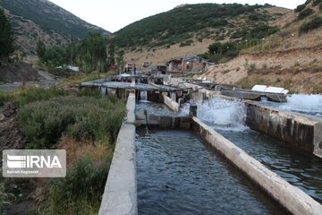 تولید ماهی در استان اردبیل به ۱۰ هزار و ۵۰۰ تن افزایش می‌یابد