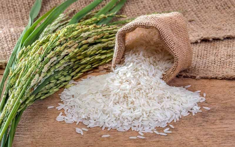 750 هزار تن برنج سفید در گیلان تولید می شود