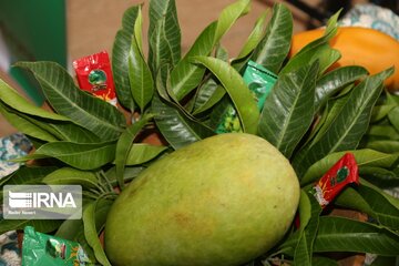 Mango and Yasmin Flower festival in Iran's Minab city