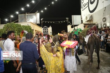 Mango and Yasmin Flower festival in Iran's Minab city