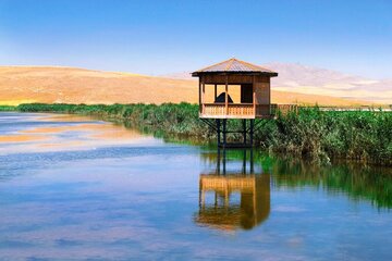 Soldoz Wetland in northwestern Iran