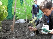 مدارس سبز دارای نظام‌نامه می‌شوند 