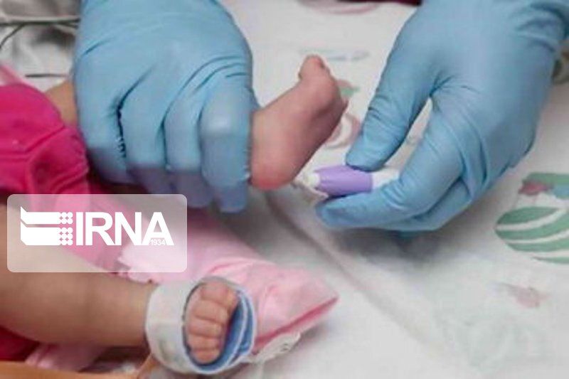 ۹۹ درصد نوزادان در خراسان رضوی از نظر ابتلا به بیماری فنیل کتونوری غربالگری شدند