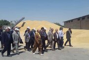 معاون وزیر جهاد از مراکز خرید گندم کردستان بازدید کرد