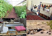 صندوق کارآفرینی امید کرمان ۸۱۴ فقره تسهیلات روستایی پرداخت کرده است 