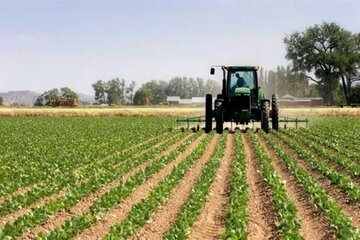 راهبرد سازمان جهاد کشاورزی قم کاهش ضایعات تولید است
