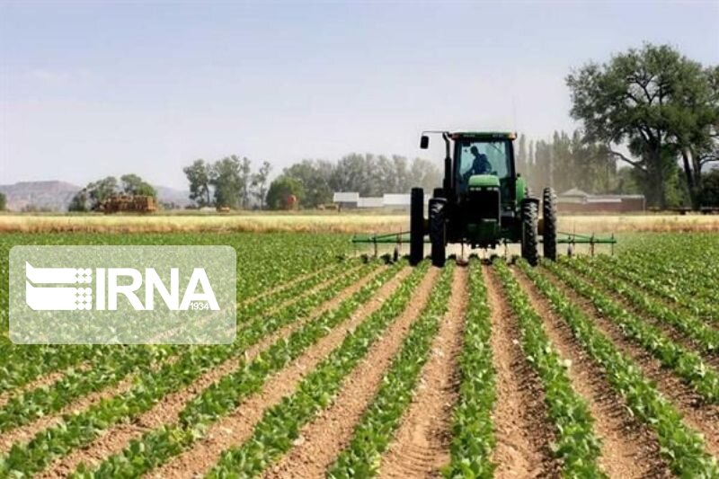 سهم بخش کشاورزی در اقتصاد کرمان بیش از ۲ برابر متوسط کشور است