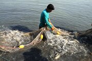 ایرانی شمالی علاقوں میں ماہیگیری کی تصاویر