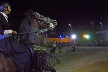 جشنواره اسب اصیل کُردی شمال‌غرب کشور در مهاباد برگزار شد