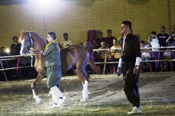 جشنواره اسب اصیل کُردی شمال‌غرب کشور در مهاباد برگزار شد