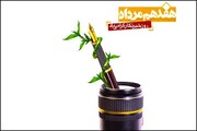 استاندار خراسان شمالی روز خبرنگار را تبریک گفت