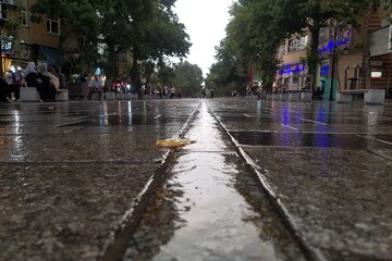 همدان- ایرنا- در حالی که نیمی از فصل تابستان گذشته است و در پنجاه و دومین روز از این فصل، بارش باران، به هوای گرم همدان طراوت بخشید.