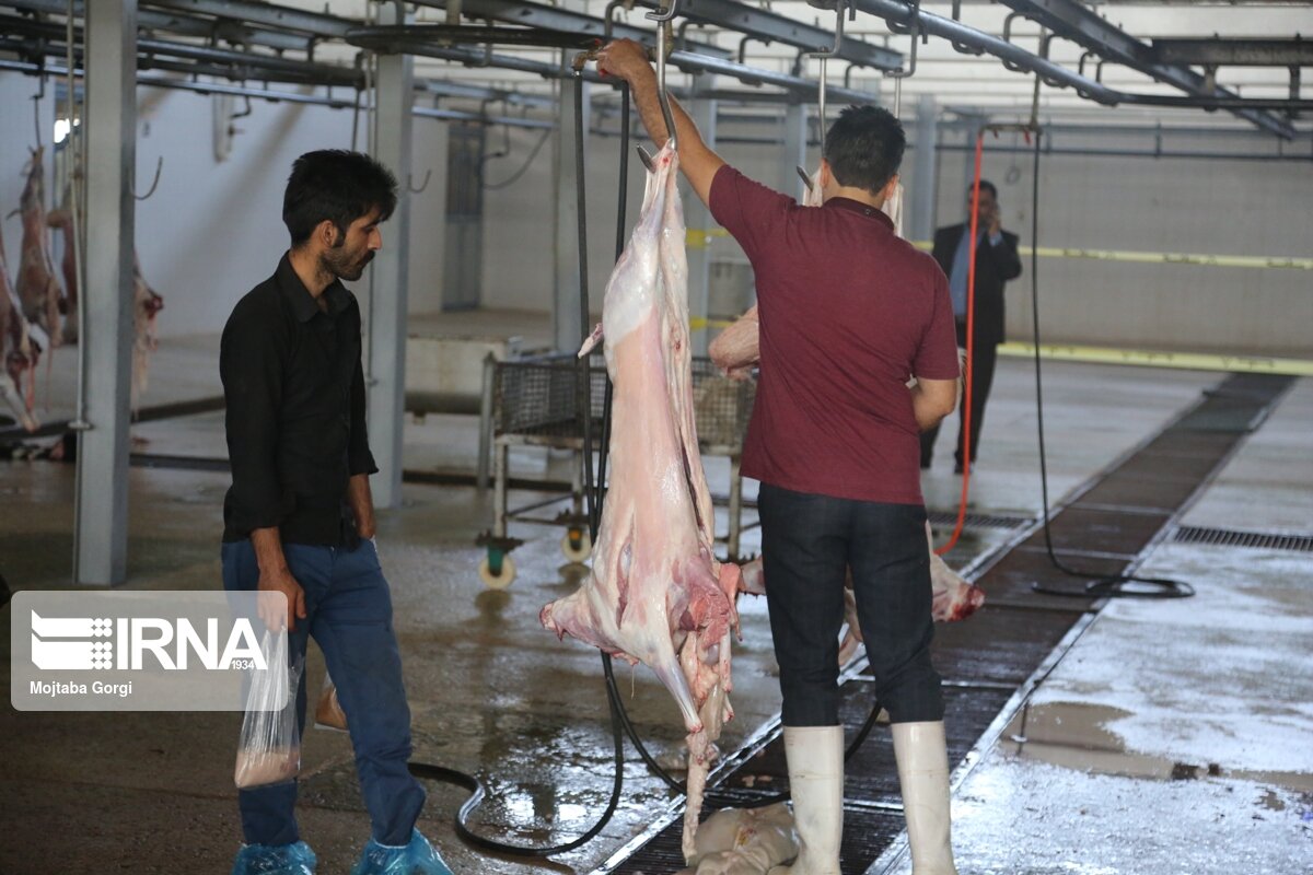خروج دام، خروج سرمایه؛ ضرورت احداث پالایشگاه دام در خراسان‌شمالی
