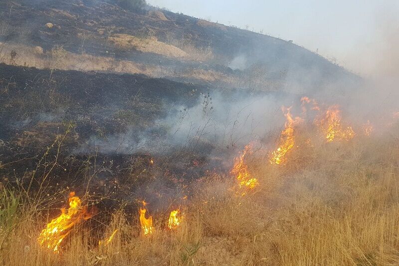 آتش سوزی مراتع تکاب