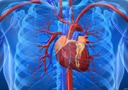 مرگ‌ طبیعی ناشی از بیماری قلبی و عروقی در خراسان رضوی بیش از ۲۷ درصد افزایش یافت