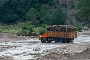 کشفیات قاچاق چوب در مهاباد ۹۰ درصد کاهش یافت