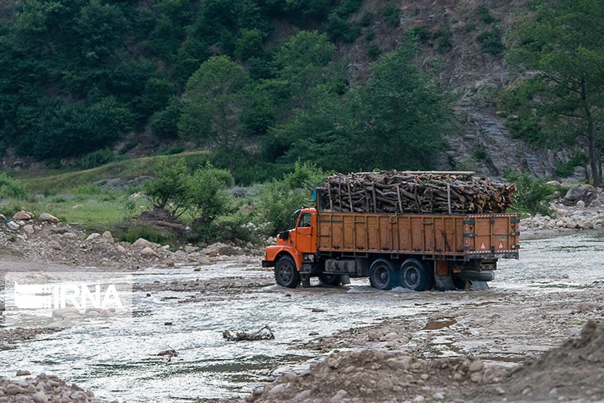 ۴۵هزار کیلوگرم چوب و زغال قاچاق در چهارمحال وبختیاری کشف شد