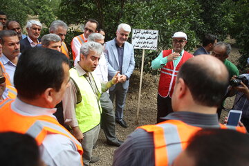 آغاز رزمایش مقابله با آفت مگس میوه در مازندران 