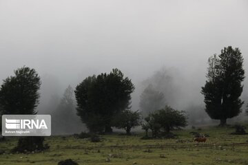 Fog and road: The beauties of Iran's Asalem to Khalkhal road