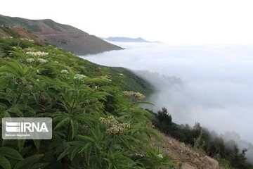 Fog and road: The beauties of Iran's Asalem to Khalkhal road