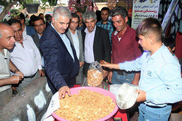 نخستین جشنواره بادام شهرستان مرند