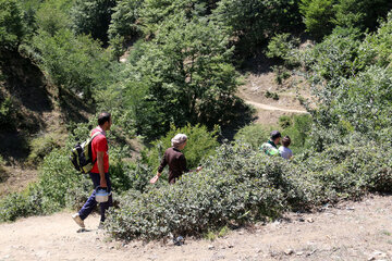 Mountaineering in Heyran tourist region in north Iran