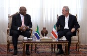 Iran friendly, brotherly country to S. Africa: Envoy