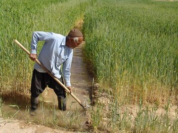 تلاشی برای ماندگاری کشاورزان در روستا