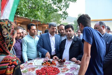 چهارمین جشنواره زغال اخته در کلیبر