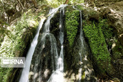 Tang Abi ; The Jewel of Iran's southern waterfalls