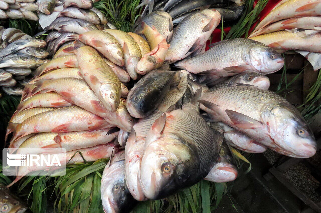 $25 million worth of aquaculture products exported from Shalamcheh to Iraq