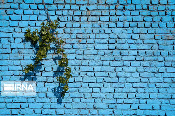 Iran Beauties; Colourful Houses in Qazvin city