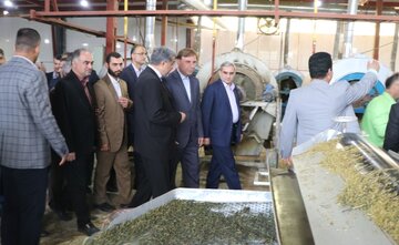 افتتاح دو واحد صنعتی و یک واحد گردشگری در لاهیجان