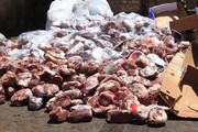 بیش از ۲ تن گوشت و آلایش دامی فاسد در مهاباد کشف شد