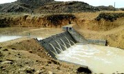 ۱۰ طرح منابع طبیعی دامغان در هفته دولت افتتاح شد