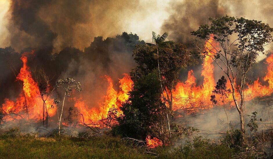 برزیل کمک گروه ۷ برای مقابله با آتش سوزی جنگل‌های آمازون را نپذیرفت 
