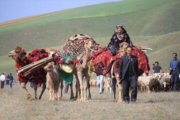 ۴۹میلیارد ریال برای تامین آب پایدار عشایر سمنان تخصیص یافت