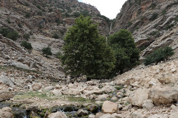 منطقه تاریخی و گردشگری شیرین آب و هیز برده در شهرستان اندیکا