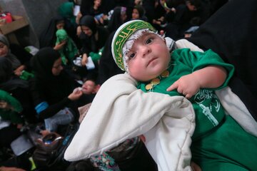 سینه زنی سنتی  عزاداری مردم بوشهر