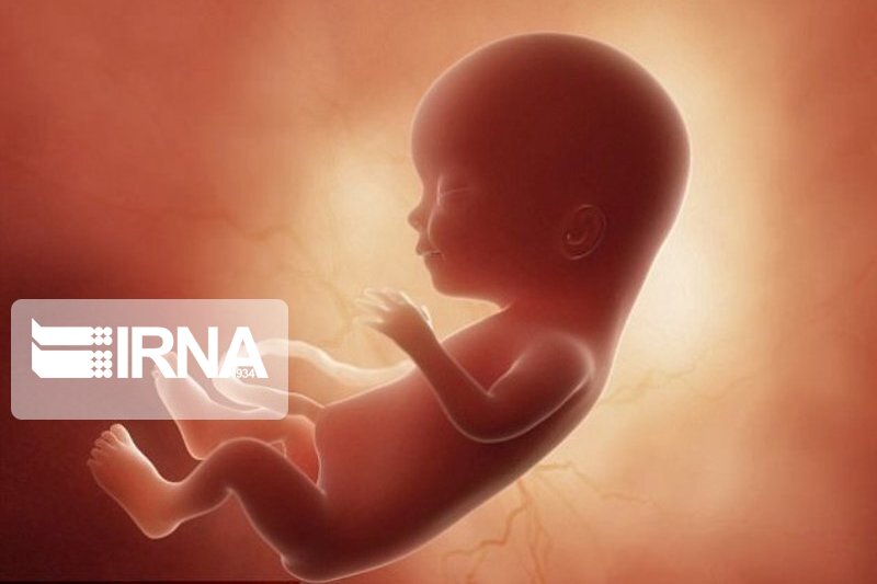 اطلاع ناکافی از قانون منجر به سقط جنین زیرزمینی می‌شود