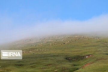 Souchaleh countryside in northern Iran