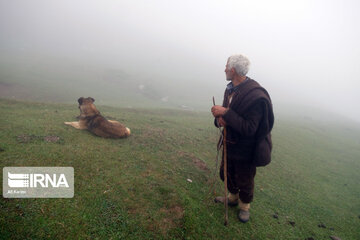 Souchaleh countryside in northern Iran