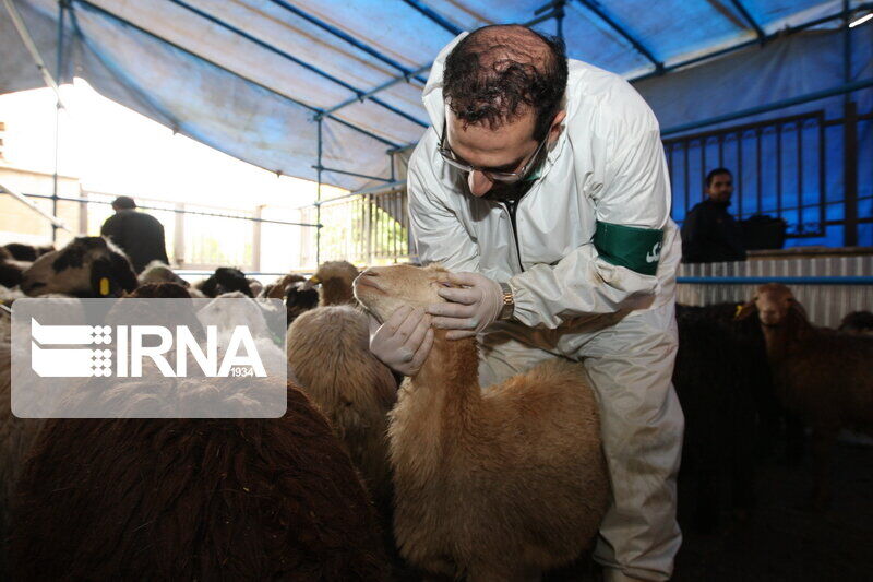 کوررنگی شغل دامپزشکی در مازندران 