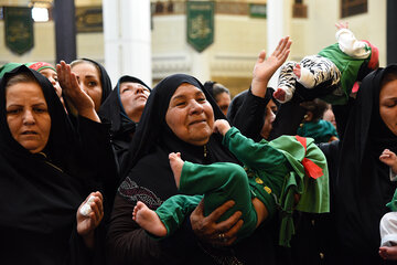 همایش شیرخوارگان حسینی در شیراز