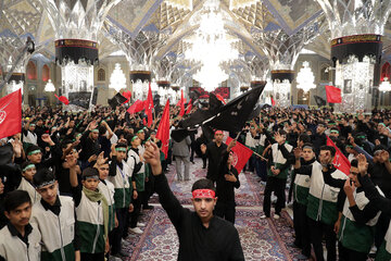 عزاداری نوجوانان مشهدی برای حضرت قاسم بن الحسن (ع)