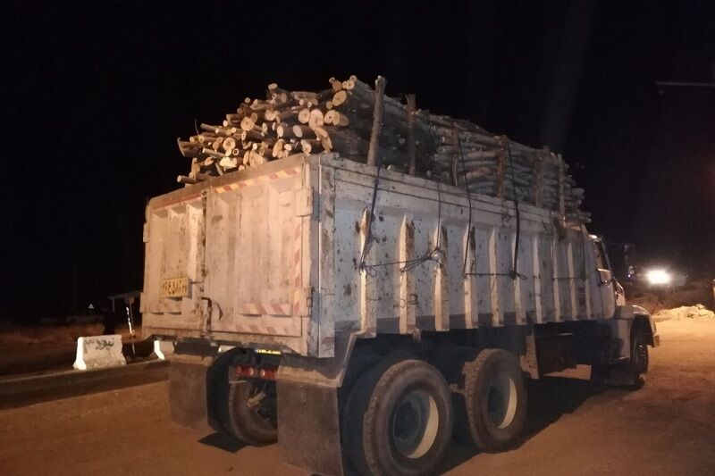 بیش از ۲۷ تُن چوب قاچاق از باند مافیای بزرگ چوب در سقز کشف شد