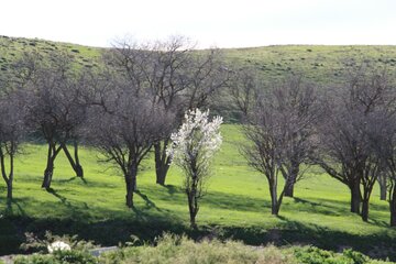 روستاهای تکاب؛ زیبا و گردشگرپذیر