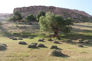 روستاهای تکاب؛ زیبا و گردشگرپذیر