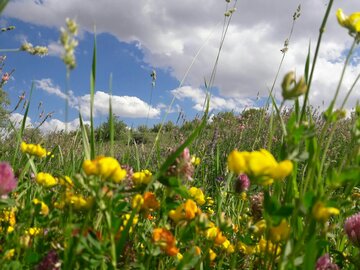 روستاهای تکاب؛ زیبا و گردشگرپذیر