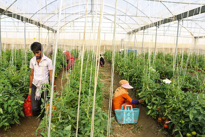 ریل‌گذاری دولت سیزدهم برای رونق اقتصاد روستاهای مازندران 